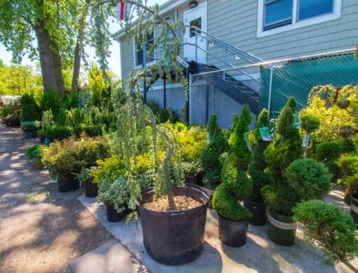 Lisena Landscaping & Garden Center