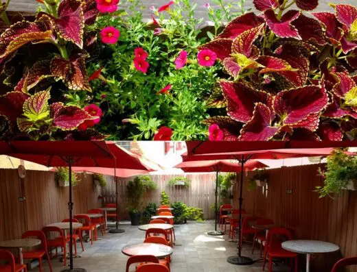 Blooming Urban Design Scapes