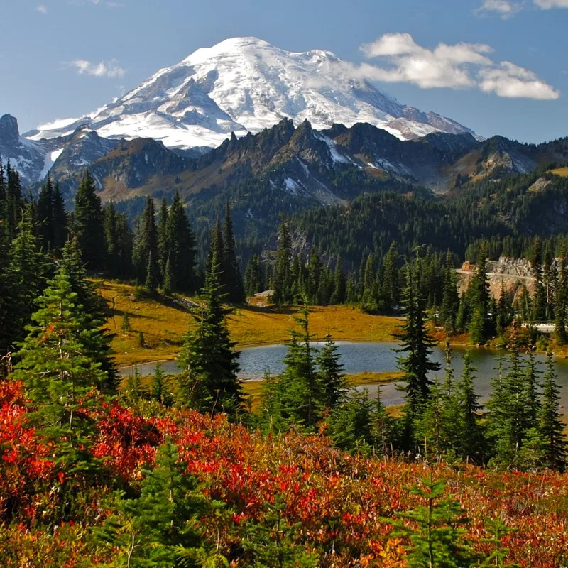 Washington
