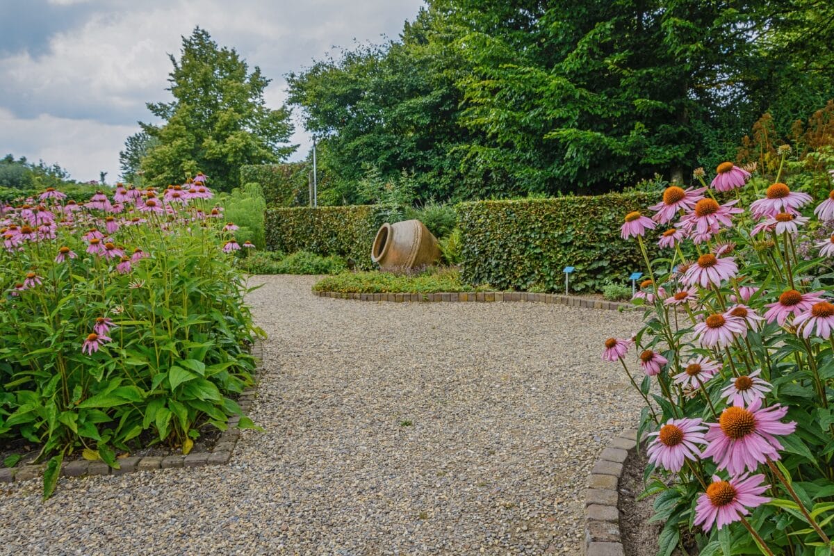 Garden Design & Landscapes