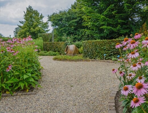 Garden Design & Landscapes