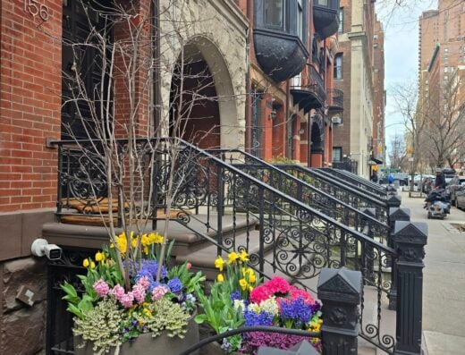 New York Plantings Irrigation & Landscape Lighting NYC