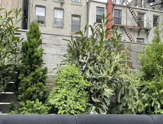 Metropolitan Garden Design